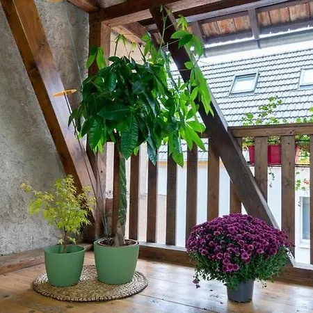 Feng Shui In Small Apartment