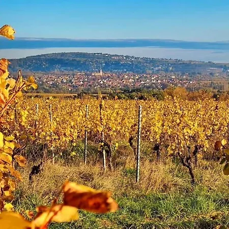 Feng Shui In Small Lägenhet *